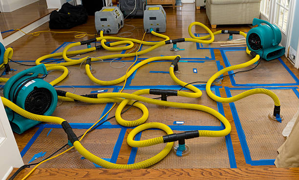 Professional Water Damage Restoration technician working in Mill Neck, NY